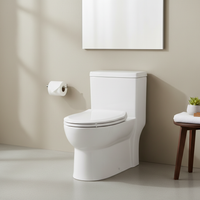 Bathroom Deep Cleaning